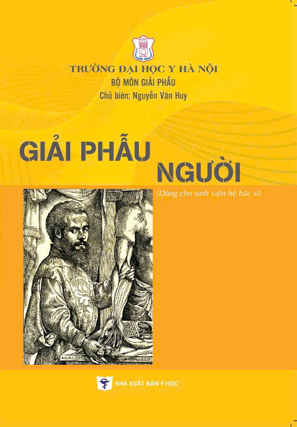 Giải phẫu người (Dùng cho sinh viên hệ bác sĩ)
