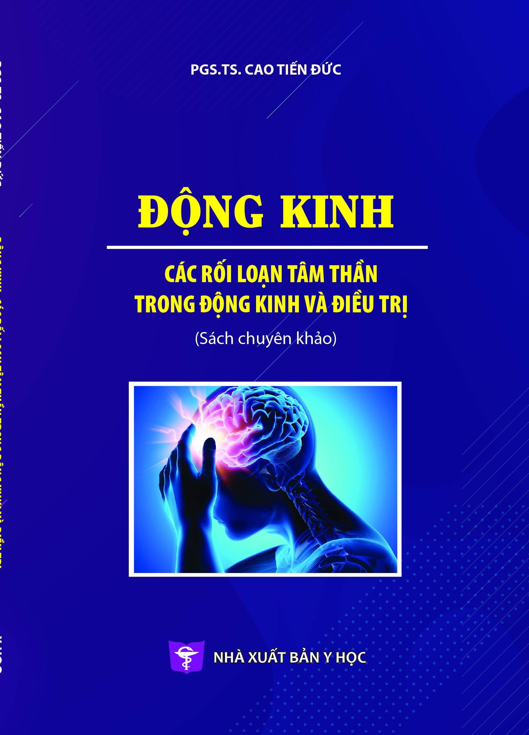 Động kinh các rối loạn tâm thần trong động kinh và điều trị (Sách chuyên khảo)