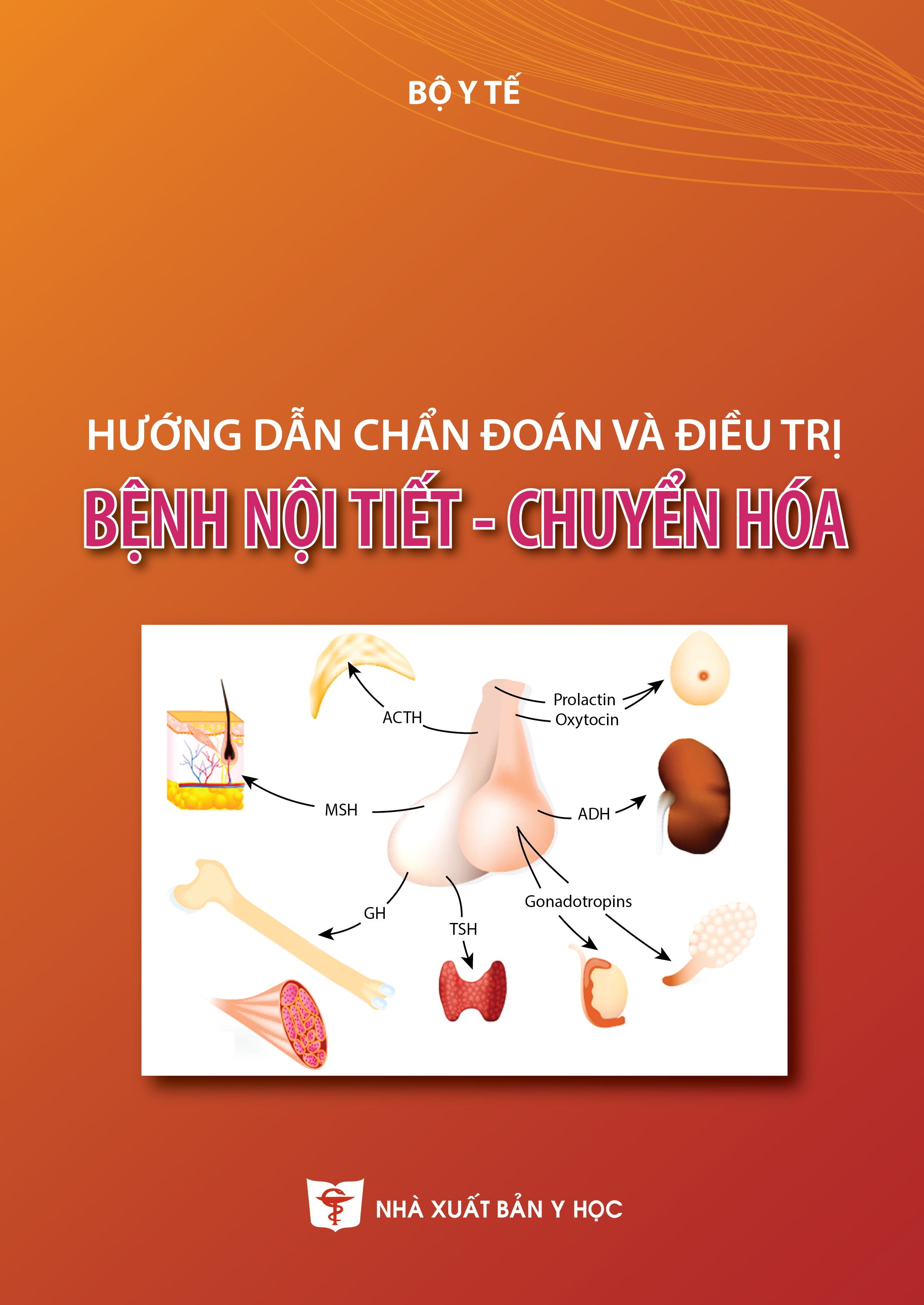 Hướng dẫn chẩn đoán và điều trị bệnh nội tiết - chuyển hóa