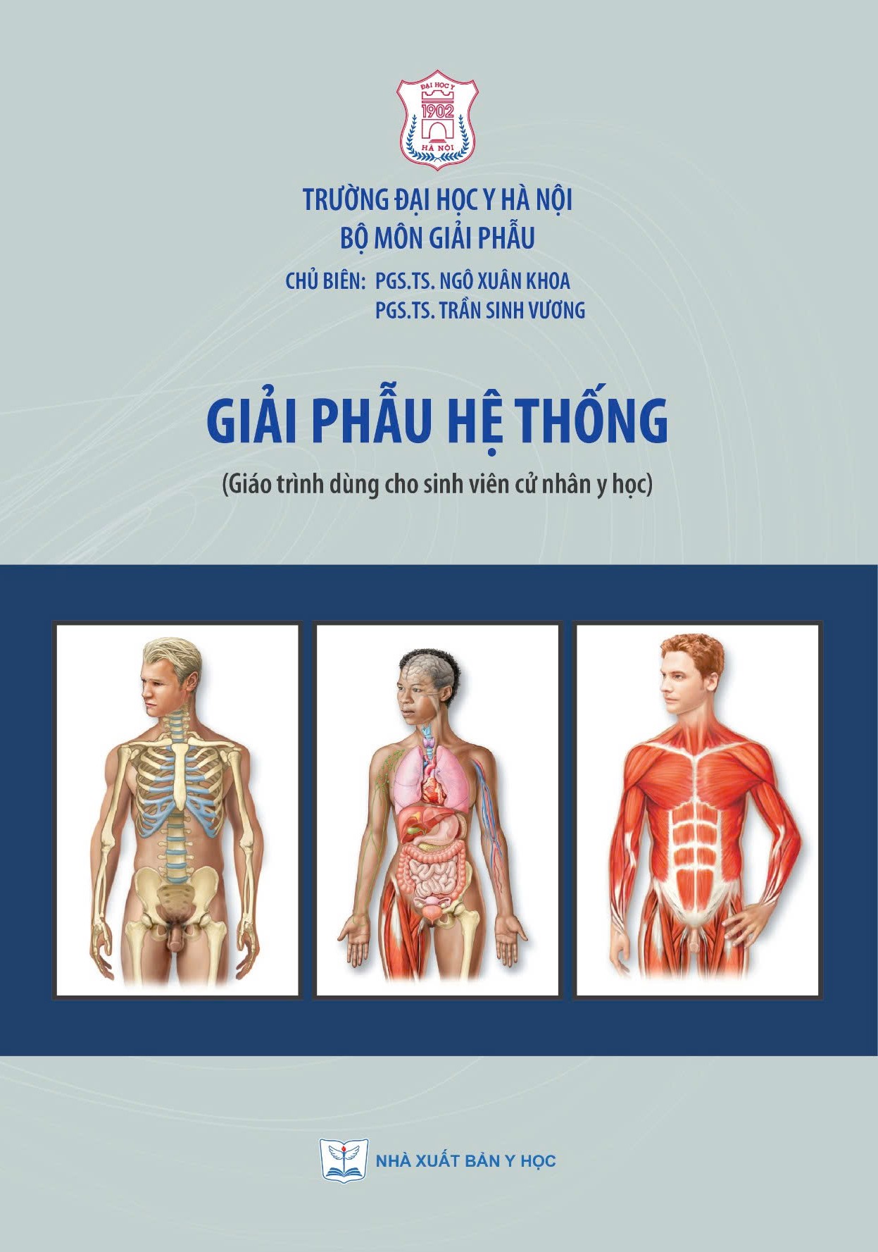 Giải phẫu hệ thống (Giáo trình dùng cho sinh viên cử nhân y học)