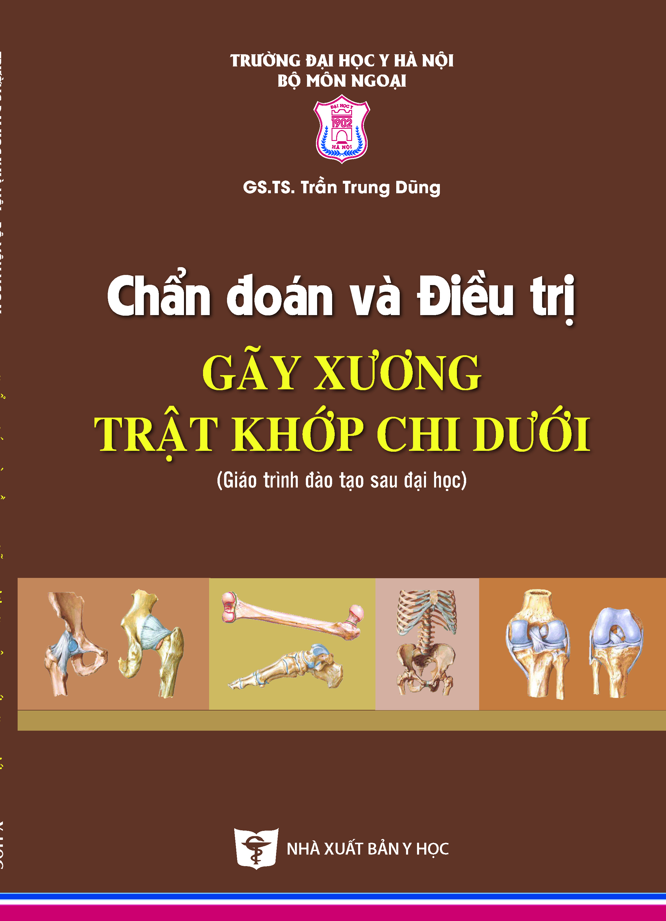 Chẩn đoán và điều trị gãy xương trật khớp chi dưới (Giáo trình đào tạo sau đại học)
