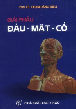 Giải phẫu đầu-mặt-cổ
