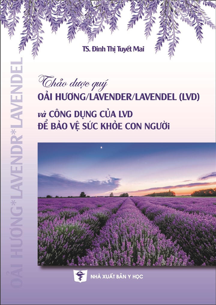 Thảo dược quý oải hương/lavender/lavendel (LVD) và công dụng của LVD để bảo vệ sức khỏe con người