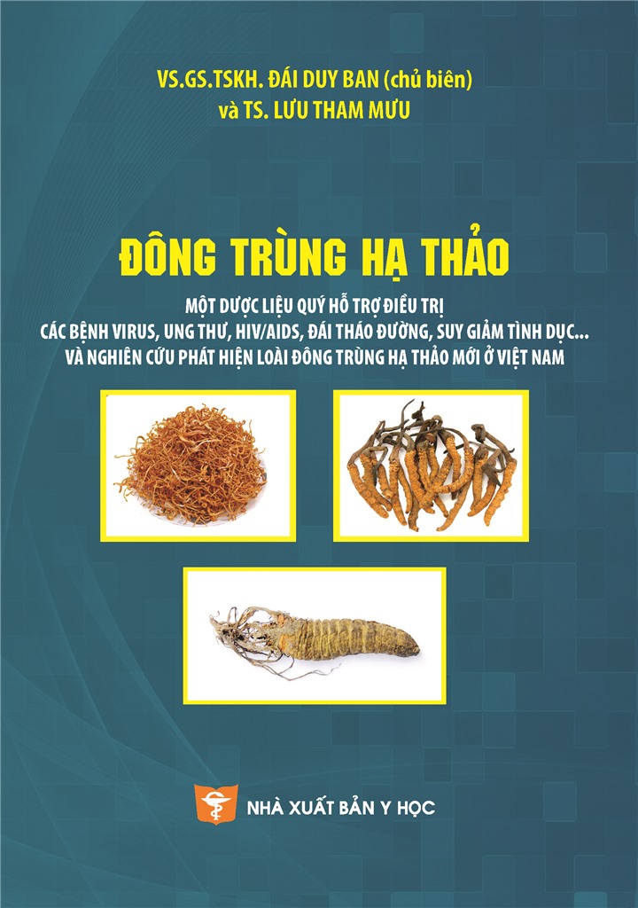 Đông trùng hạ thảo một dược liệu quý hỗ trợ điều trị các bệnh virus, ung thư, HIV/AIDS, đái tháo đường, suy giảm tình dục… và nghiên cứu phát hiện loài đông trùng hạ thảo mới ở Việt Nam
