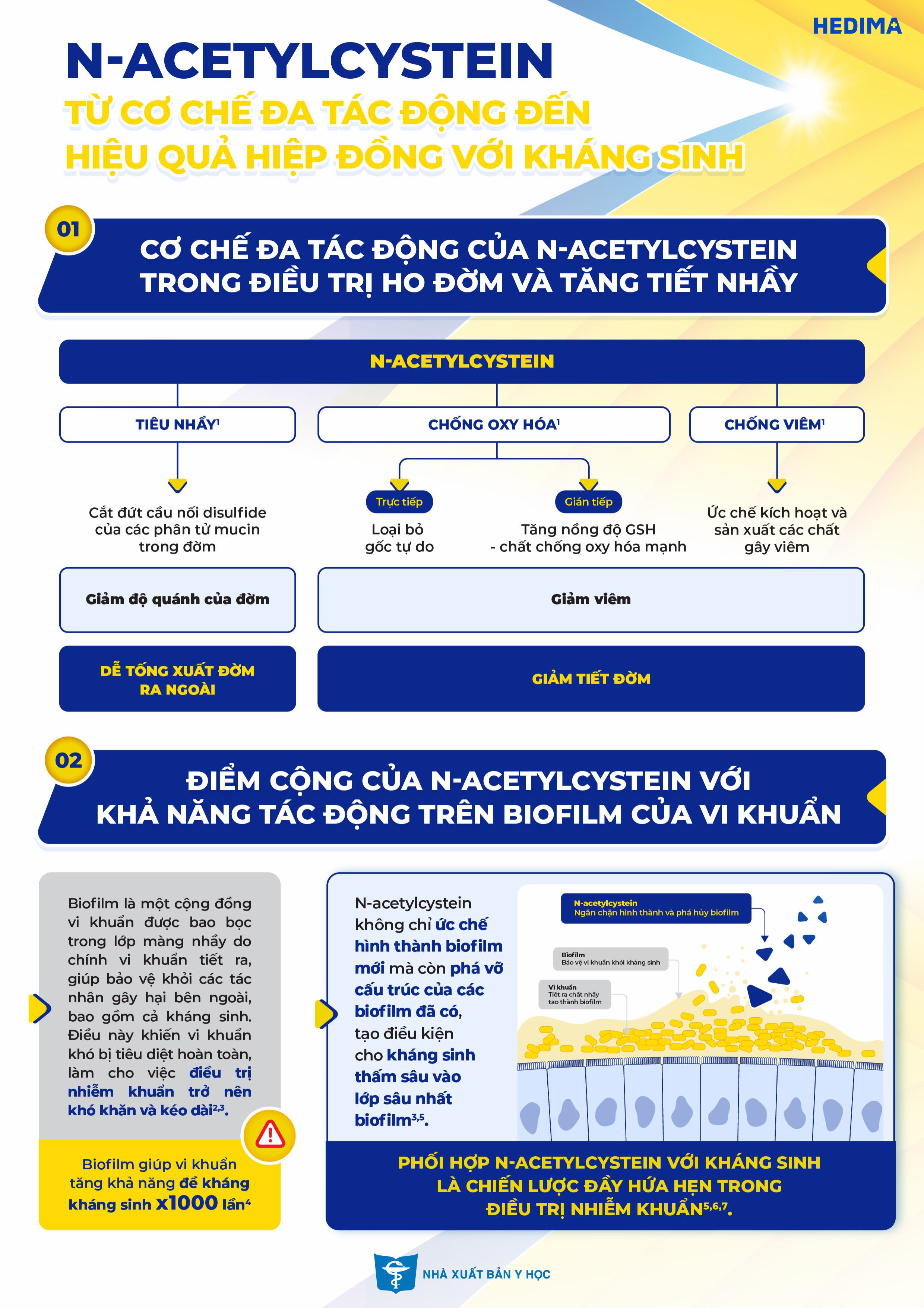 N-Acetylcystein từ cơ chế đa tác động đến hiệu quả hiệp đồng với kháng sinh
