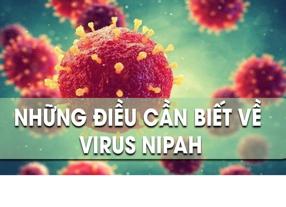 /nhung-dieu-can-biet-ve-virus-nipah-n224.html