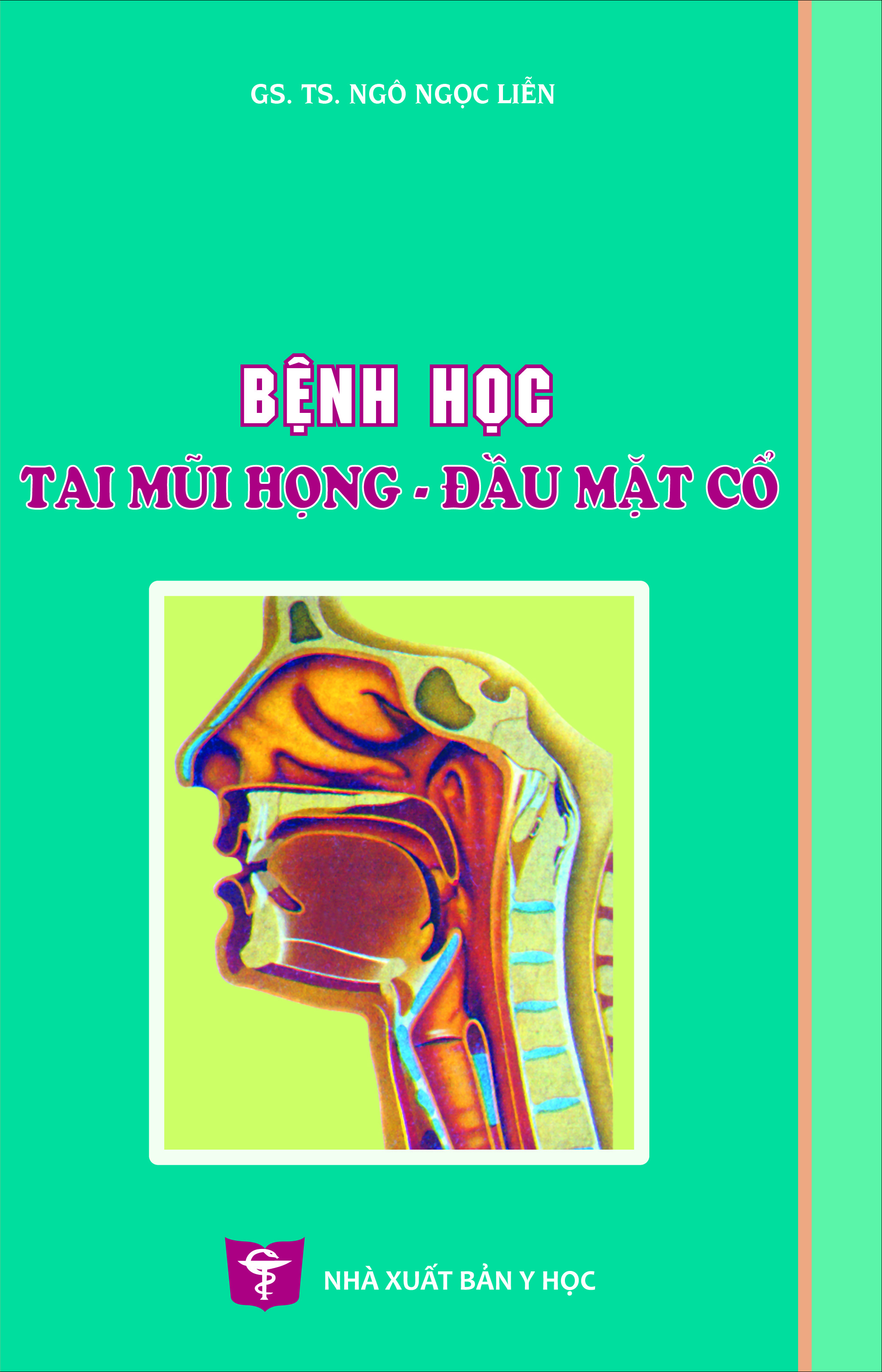 Bệnh học Tai Mũi Họng – Đầu Mặt Cổ