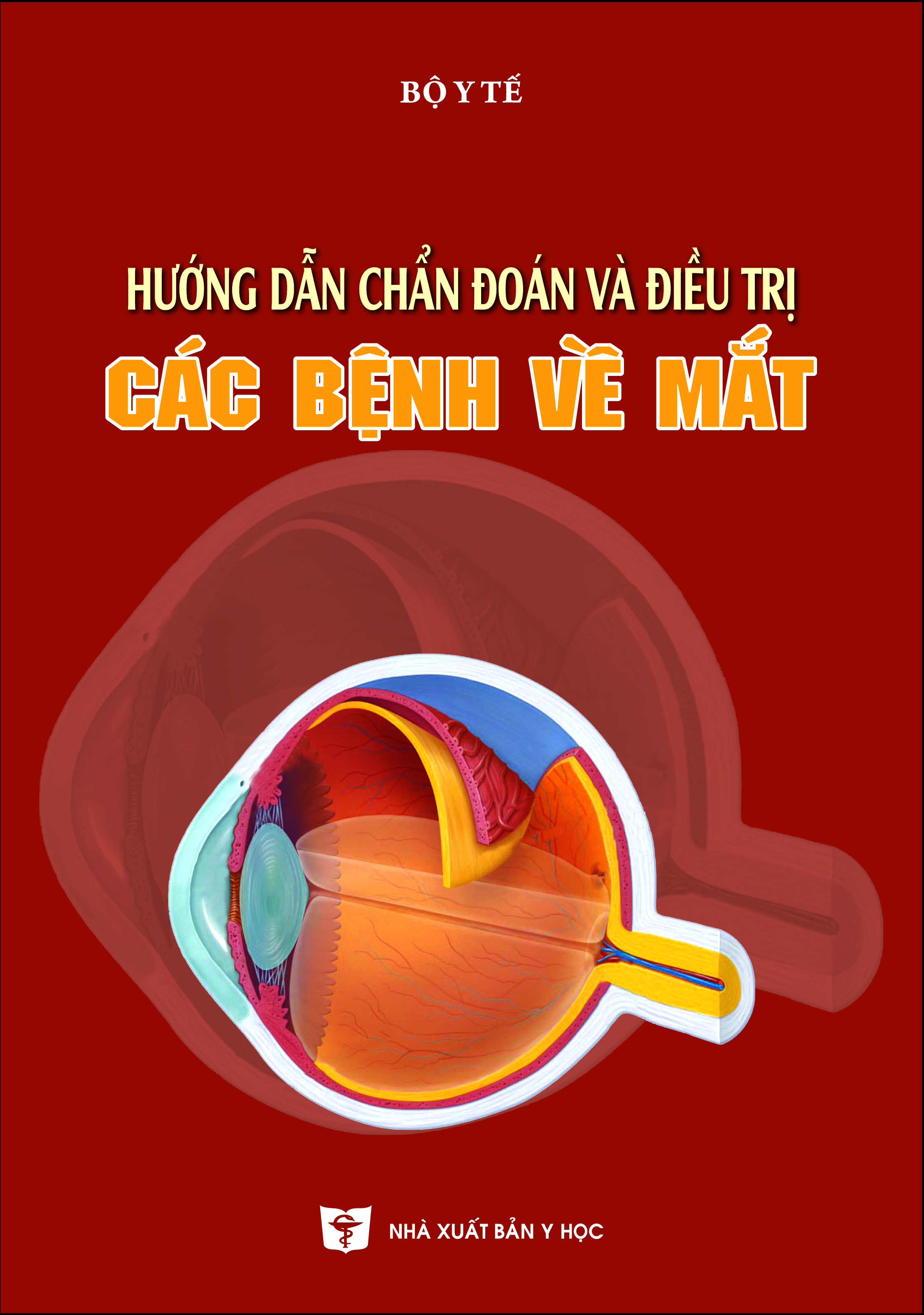 Hướng dẫn chẩn đoán và điều trị các bệnh về mắt