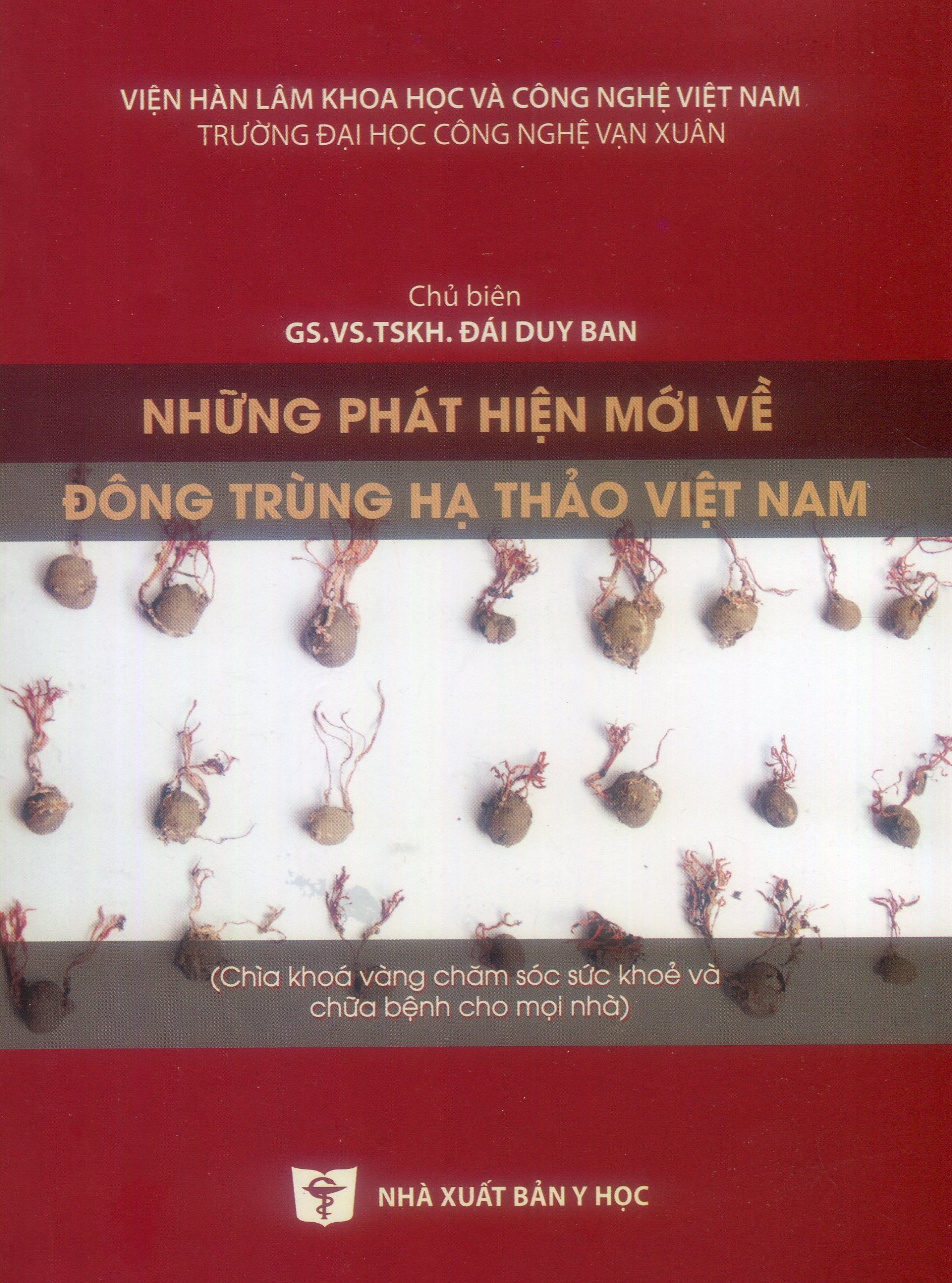 Những phát hiện mới về đông trùng hạ thảo