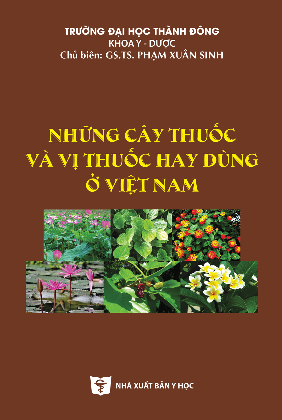 Những cây thuốc và vị thuốc hay dùng ở Việt Nam