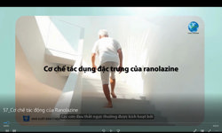 Cơ chế tác dụng đặc trưng của Ranolazine