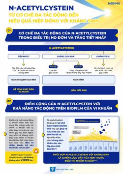 N-Acetylcystein từ cơ chế đa tác động đến hiệu quả hiệp đồng với kháng sinh