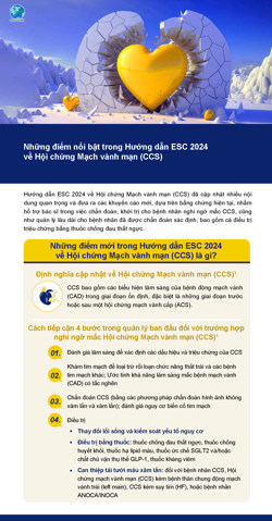 Những điểm nổi bật trong hướng dẫn ESC 2024 về hội chứng mạch     vành mạn (CCS)