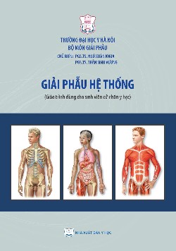 Giải phẫu hệ thống (Giáo trình dùng cho sinh viên cử nhân y học)